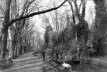 Jardin des Plantes