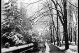 La neige au Jardin des plantes