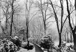 La neige au Jardin des plantes