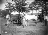 Camp du Ger près Tarbes