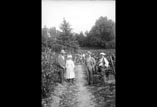 Vendanges aux carrés en hauteur. Georges, Marthe et René Ancely