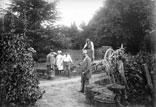 Vendanges aux carrés. Georges et Marthe Ancely