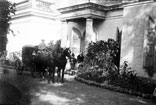 Calèche devant la façade des colonnes