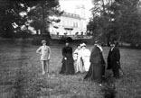 Groupe dans la prairie