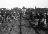 Vendanges au Touch