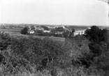 Vendanges au Touch