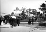 Jardins sur le Paillon