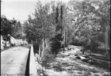 Route de St Georges à Carcanières