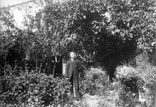 Mr Benezet dans son jardin