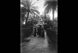 Jardins de l'Alcazar