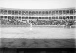 Plaza de toros. Expérience de Don Tancredo