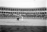 Plaza de toros. Une émule de Don Tancredo sur son piedestal