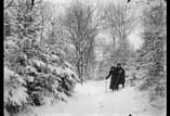 Bédat Sous bois avec neige