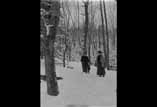 Sous bois du Bédat avec neige