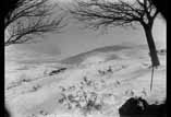 Vue de Bagnères et de la chaîne prise du camps de Cèsar