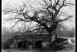 Pont rivière arbres sans feuilles