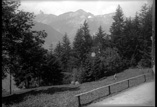 Foret dans le village et vue sur les sommets de la vallée